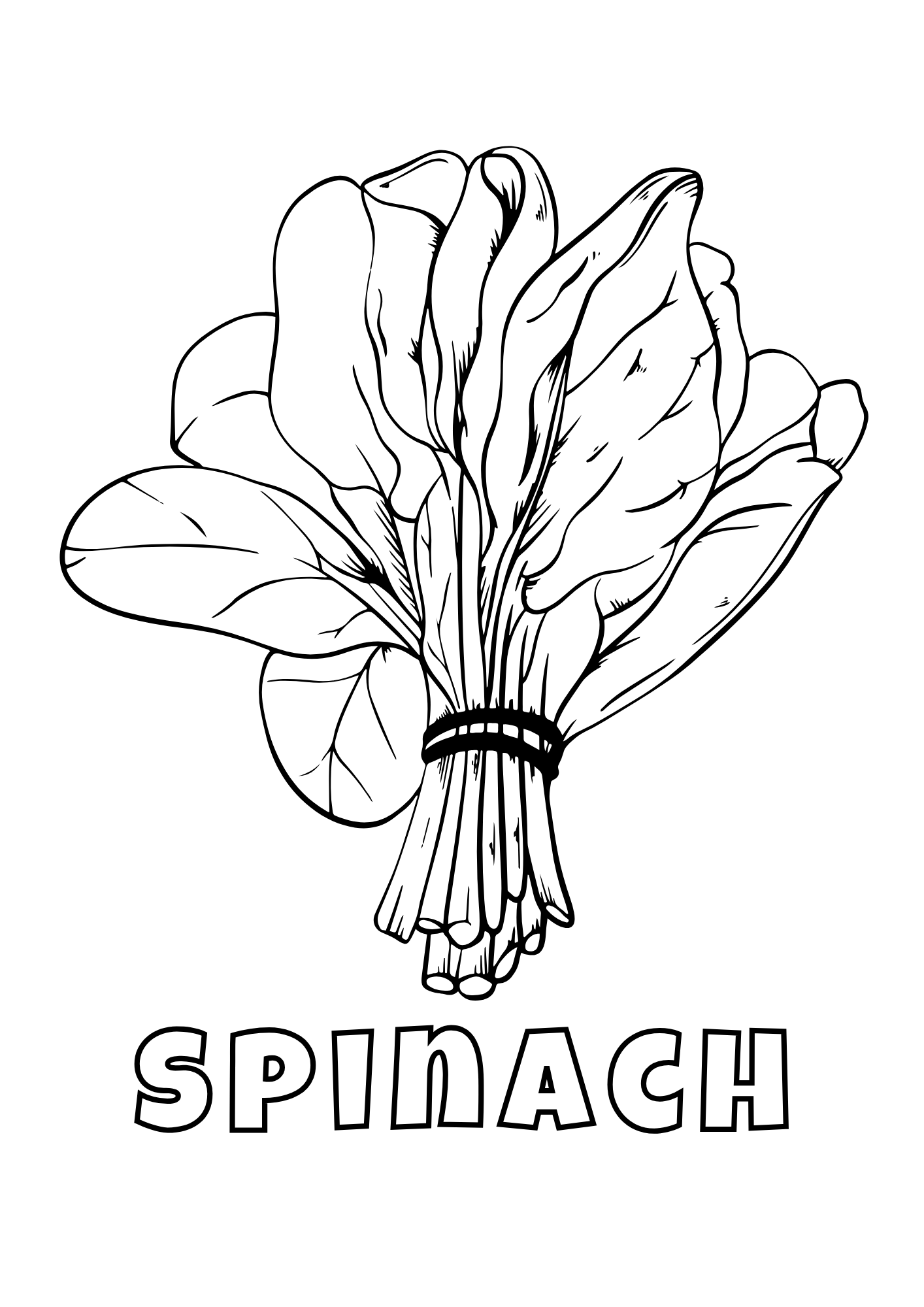 Vegetables Coloring Book