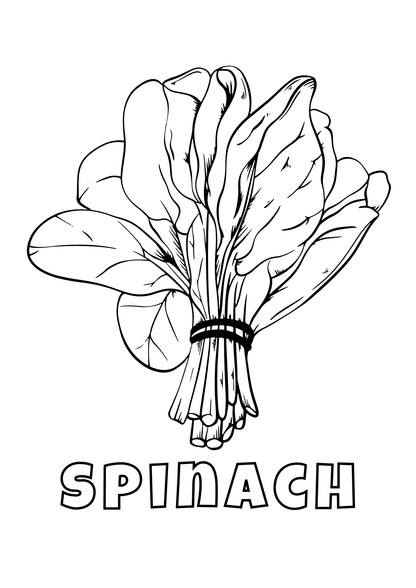 Vegetables Coloring Book